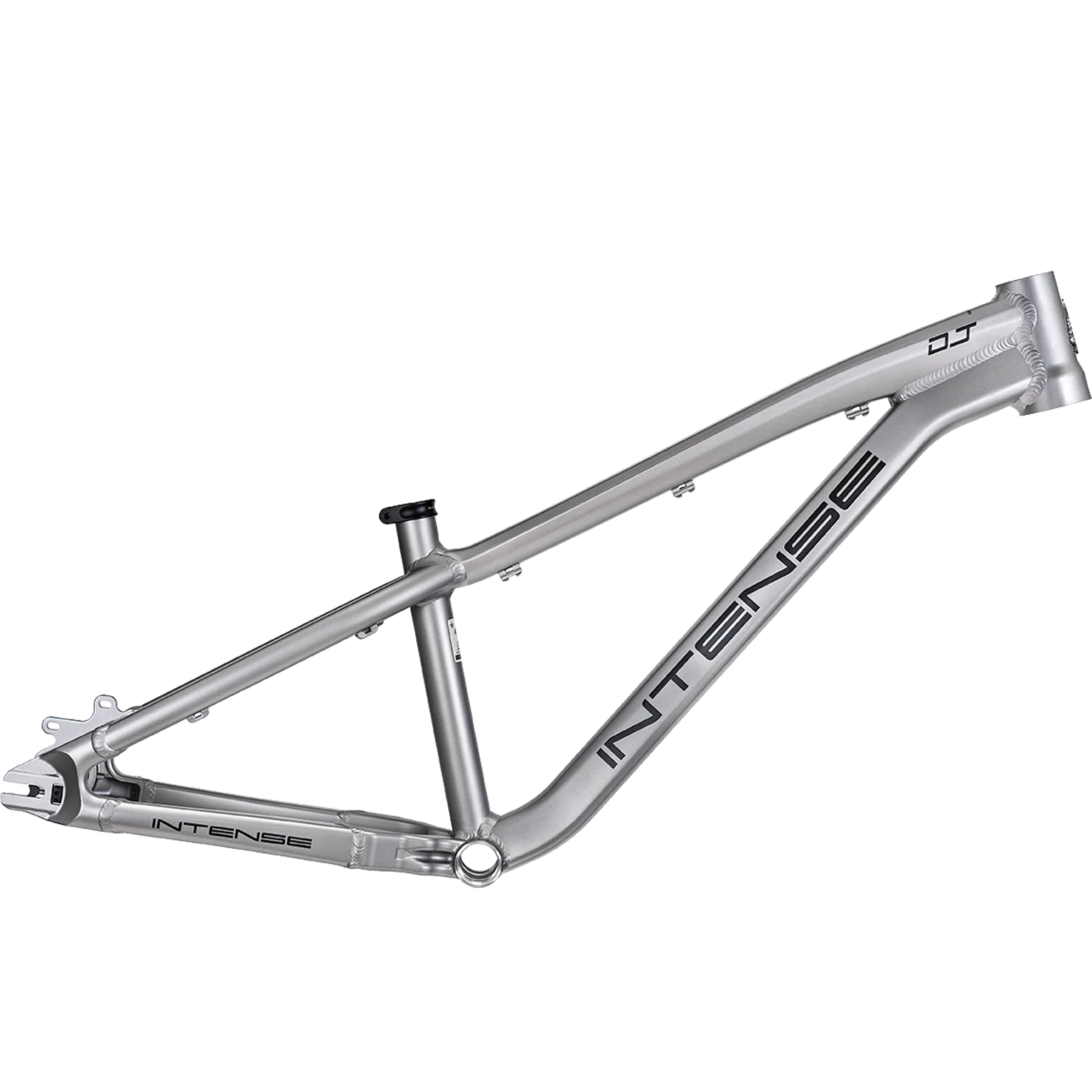 Expert Voice Collection